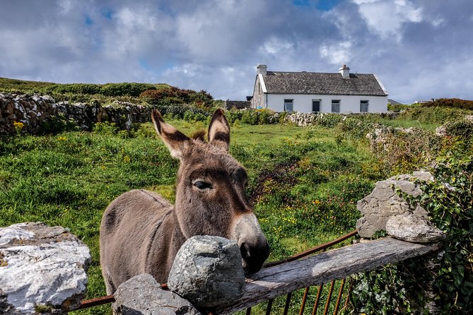 Inis Mór (Aran Islands) Day Trip: Return Ferry from Rossaveel, Galway - Rossaveel at 10:30 am: start with the timing