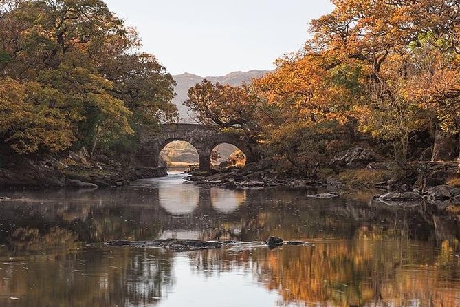 Innisfallen Island - Scenery & history of Killarney National Park - Why Innisfallen Island makes a good Killarney outing