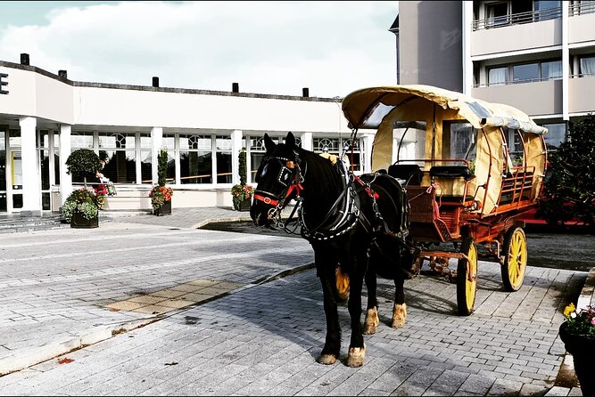 Jaunting Car Tour in Killarney National Park - Starting at Shepherds Lodge B&B