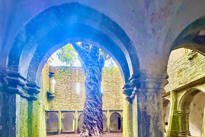Jaunting Car Tour in Killarney National Park - Muckross Abbey and its ancient yew tree