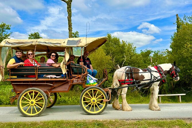 Jaunting Car Tour in Killarney National Park - The guides make the short ride work
