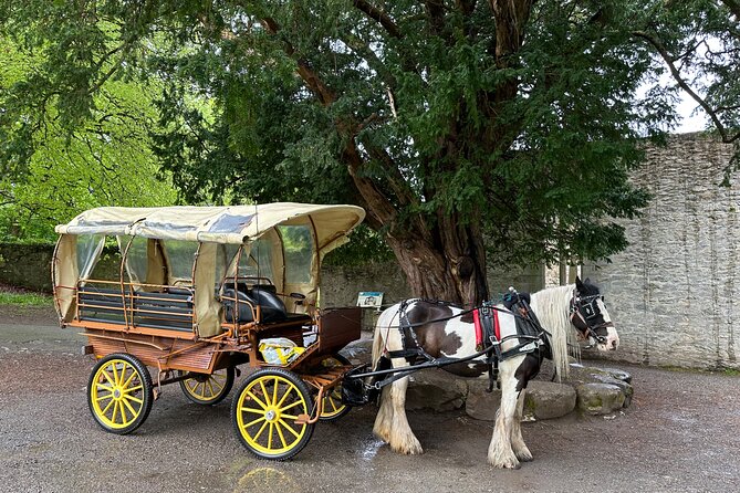 Jaunting Car Tour in Killarney National Park - Who should book the one-hour ride?