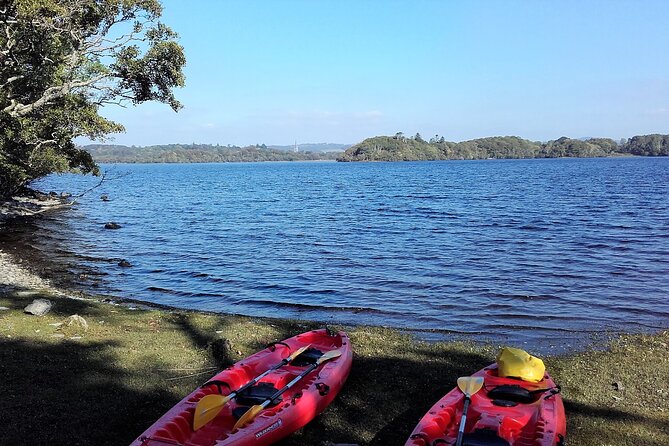 Kayak to Innisfallen island. Killarney. Guided. 2½ hours. - Who will enjoy this kayak trip most