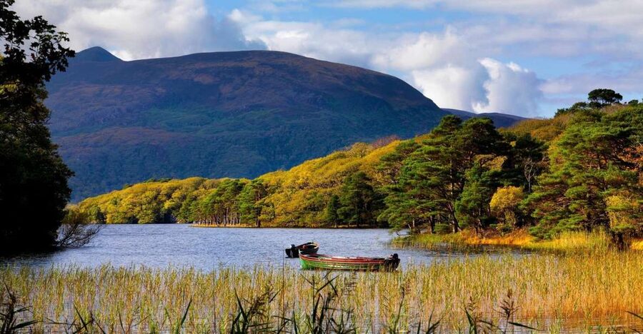 Kerry: Full-Day Tour from Dublin - Key points to know before booking