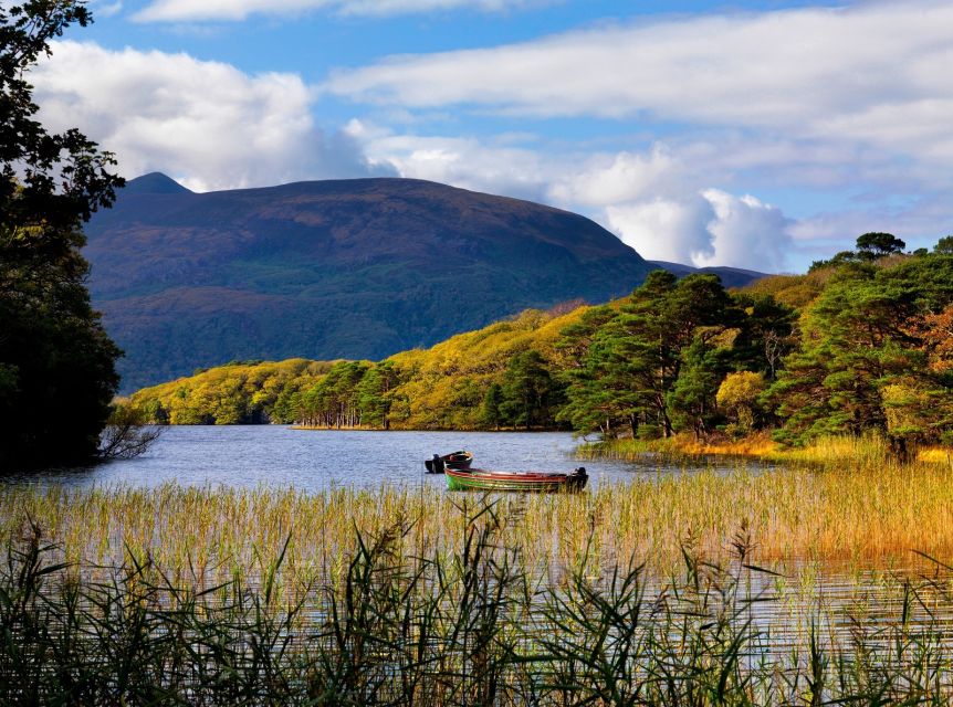 Kerry: Full-Day Tour from Dublin - Torc Waterfall, a short walk with a quiet payoff