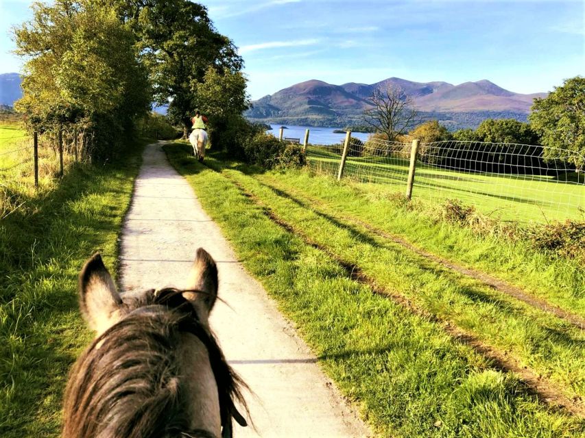 Kerry: Guided Horse Riding Tour in Killarney National Park - Forest paths, fields, and views toward Lough Leane