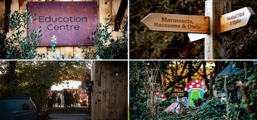 Kildare: Clonfert Farm General Admission Ticket - From Dublin Airport to a country farm setting