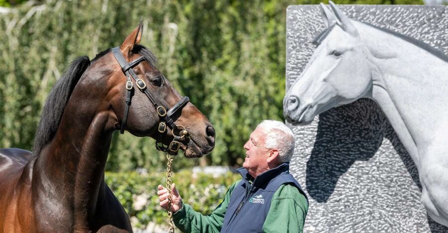 Kildare: Irish National Stud & Gardens - Join the public tour through the breeding farm