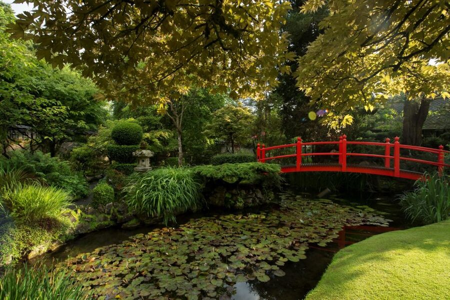 Kildare: Irish National Stud & Gardens - Planning a full day near Dublin
