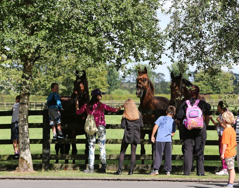 Kildare: Irish National Stud & Gardens - Who will enjoy this visit most?