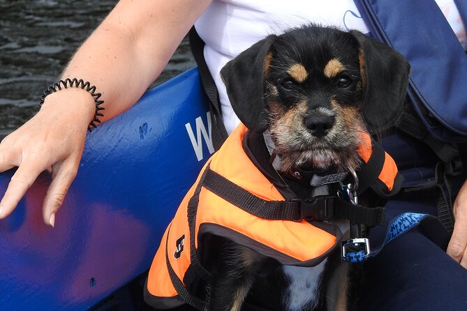 Kilkenny Boat Trip - Guides who make the difference