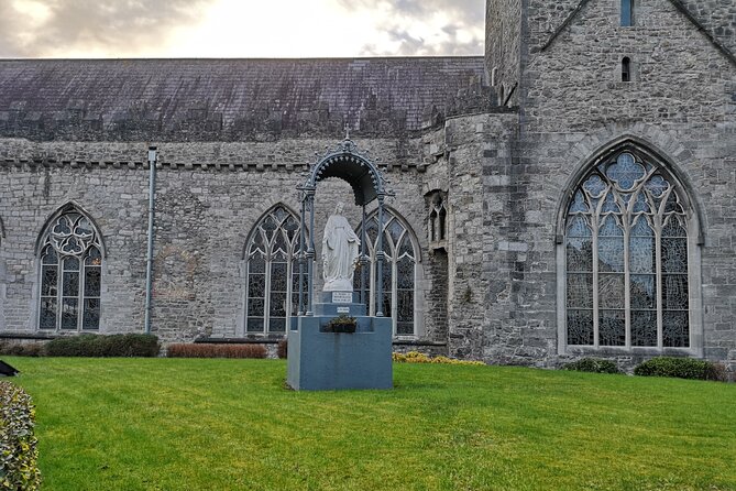 Kilkenny from Medieval to Modern City. Private Walking Tour - Kilkenny’s last original gate
