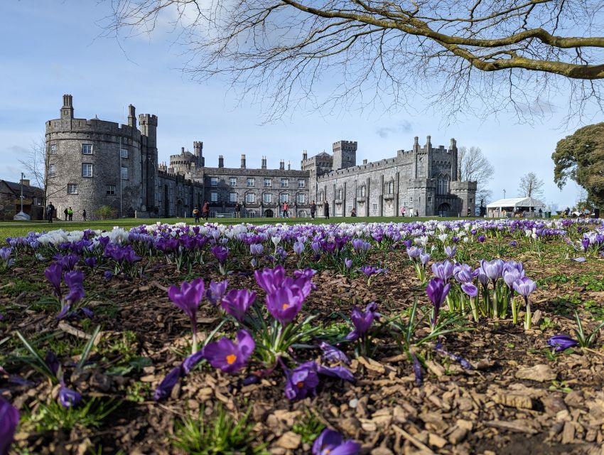 Kilkenny: Historical Highlights Walking Tour - Irishtown and the origins of Kilkenny