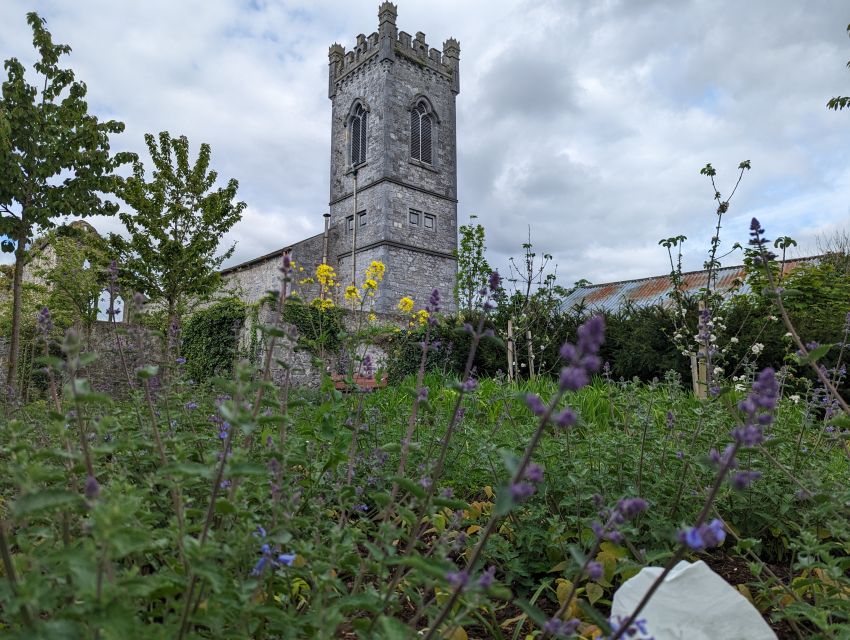 Kilkenny: Historical Highlights Walking Tour - Finishing at Kilkenny Castle