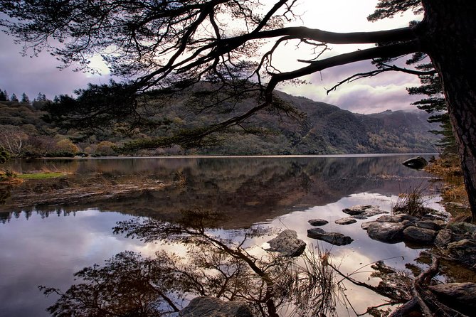 Kilkenny, Wicklow Mountains & Glendalough Day Tour from Dublin - The sheep farm and the working countryside