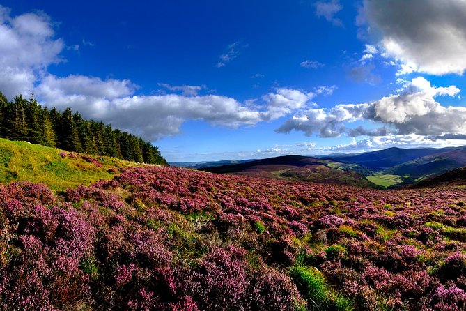 Kilkenny, Wicklow Mountains & Glendalough Day Tour from Dublin - Is $48.37 a good price?