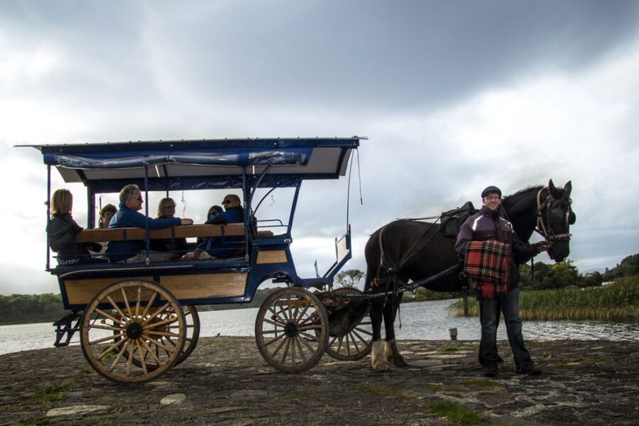 Killarney: 1-Hour Jaunting Car Horse and Carriage Tour - Key points to know before you book