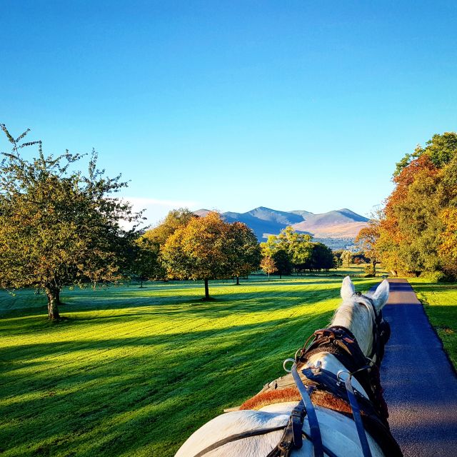 Killarney: 1-Hour Jaunting Car Horse and Carriage Tour - Through Killarney’s parks and cathedral views
