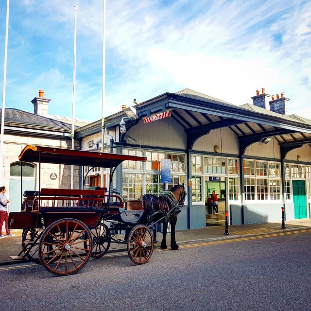 Killarney: 1-Hour Jaunting Car Horse and Carriage Tour - The jarvey stories are half the attraction