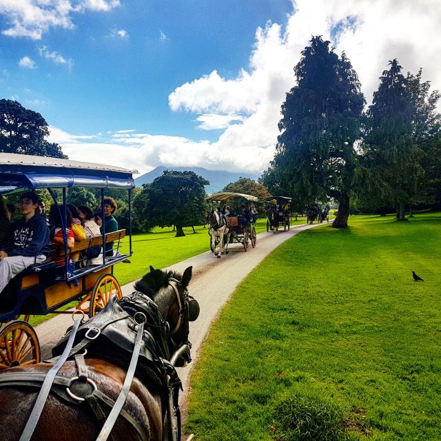 Killarney: 1-Hour Jaunting Car Horse and Carriage Tour - Weather, comfort, and access