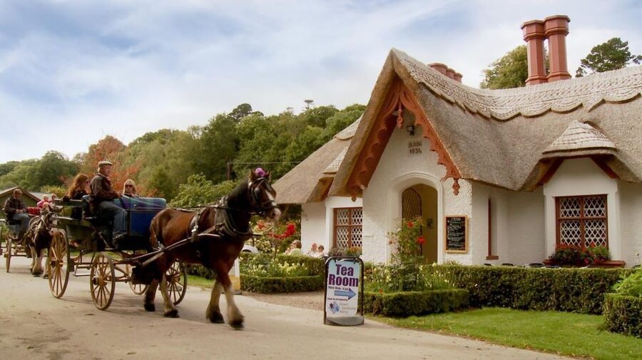 Killarney: 1-Hour Jaunting Car Horse and Carriage Tour - What the traditional jaunting car feels like
