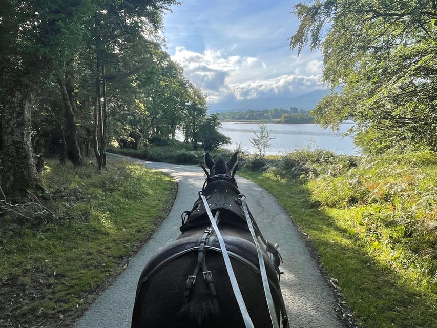 Killarney Carriage Tours National Park and Lakes - Starting at 228 Beech Road