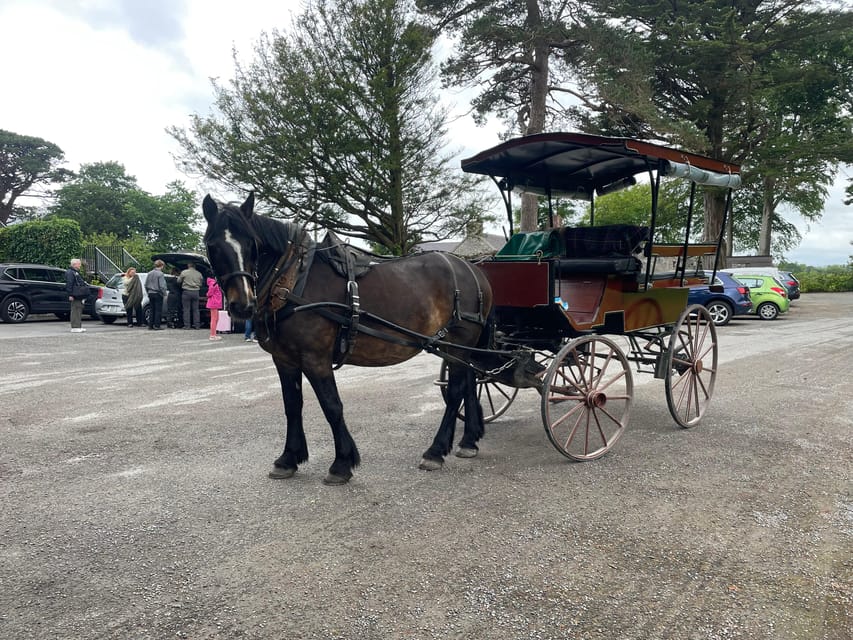 Killarney Carriage Tours National Park and Lakes - Along the Lakes of Killarney