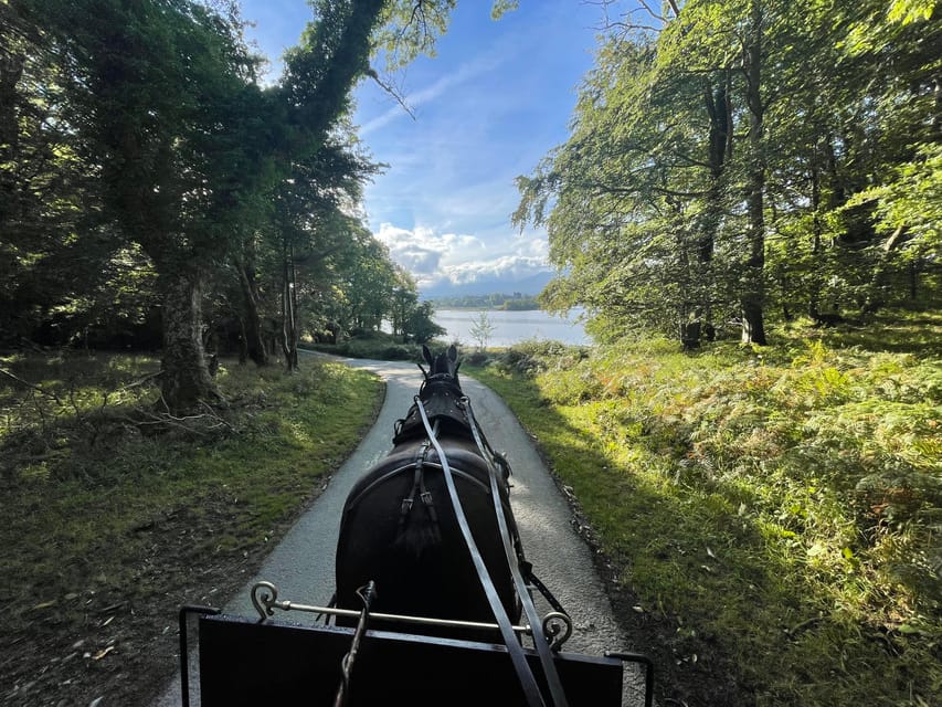 Killarney Carriage Tours National Park and Lakes - What the Private Format Adds