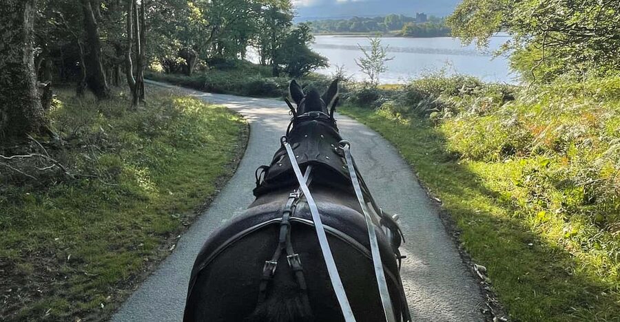 Killarney Carriage Tours National Park and Lakes - Price, Timing, and Cancellation