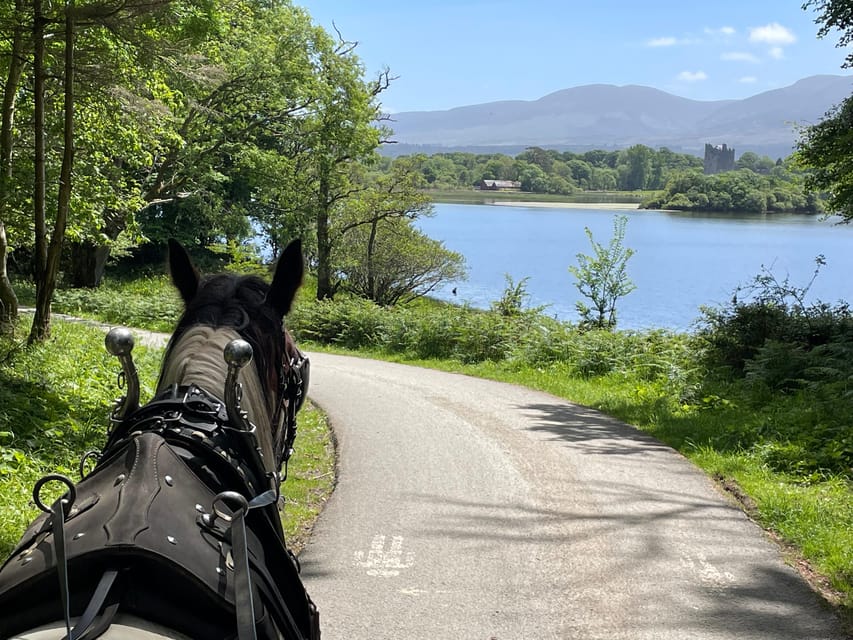 Killarney Carriage Tours National Park and Lakes - Passing St Mary’s Cathedral