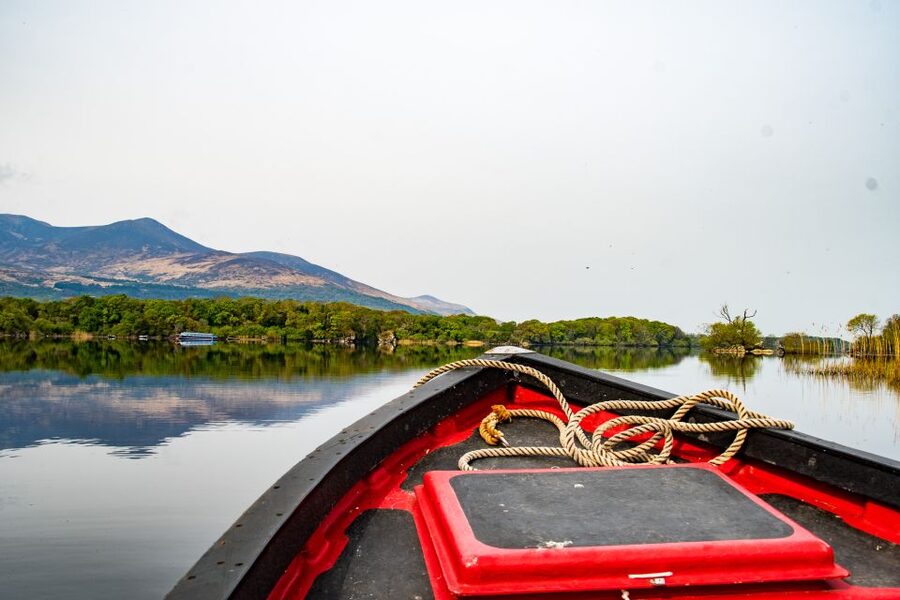 Killarney: Guided Boat Tour to Innisfallen Island - Watching for Sika Deer