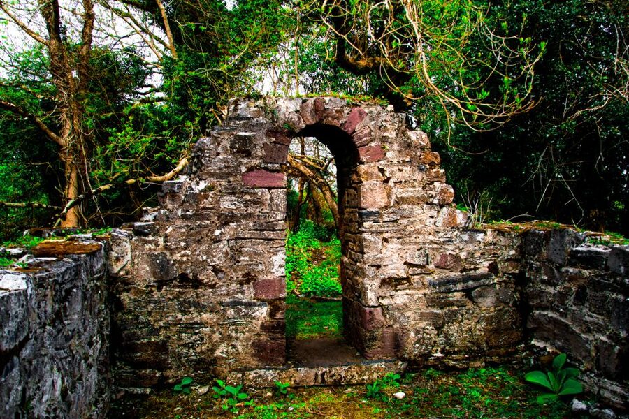 Killarney: Guided Boat Tour to Innisfallen Island - A Short Tour With a Clear Rhythm