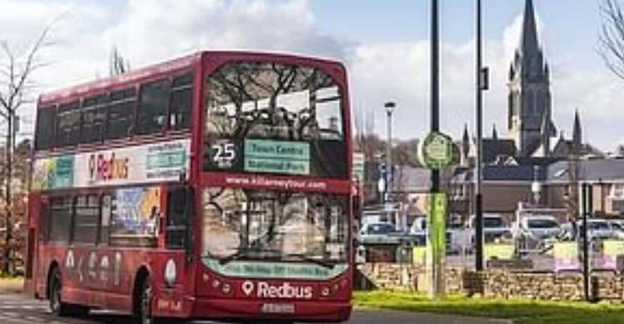 Killarney: Hop-On Hop-Off Bus to Killarney National Park - Muckross House and Its Formal Gardens