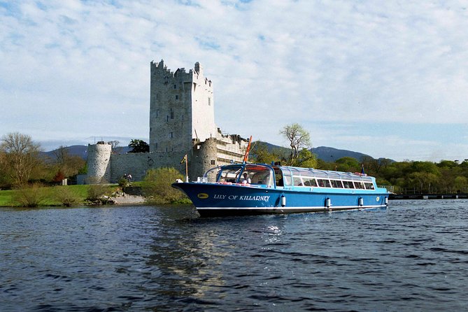 Killarney Jaunting Car & Lily of Killarney Watercoach Tour - Watching for red deer in their natural setting