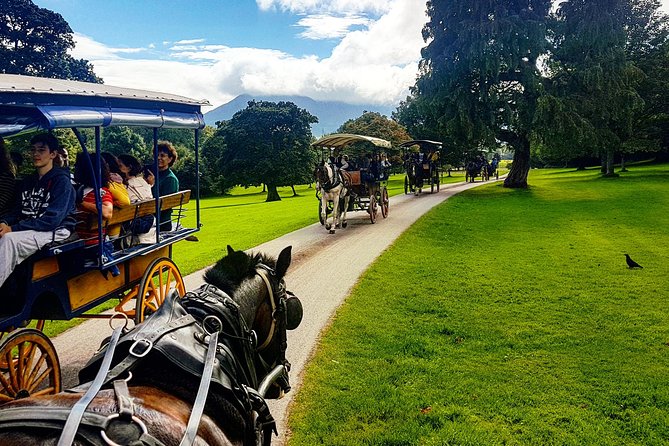 Killarney Jaunting Car & Lily of Killarney Watercoach Tour - Who will get the most from this outing