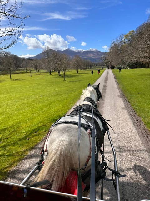 Killarney Jaunting Car Tour - Is $51 good value for one hour?