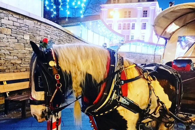Killarney Jaunting Car Tour - Why a jaunting car is a fine way to see Killarney