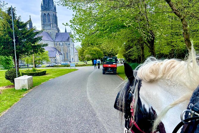 Killarney Jaunting Car Tour - Killarney National Park by horse and carriage