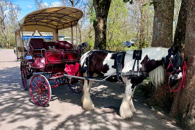 Killarney Jaunting Car Tour - The Lakes of Killarney, seen at a slow pace
