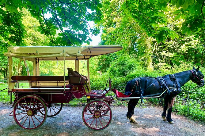 Killarney Jaunting Car Tour - Innisfallen Island and mountain views