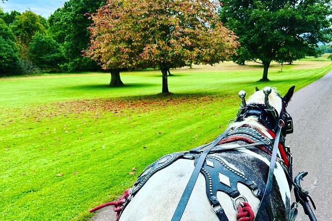 Killarney Jaunting Car Tour - Killarney House and Gardens along the return route