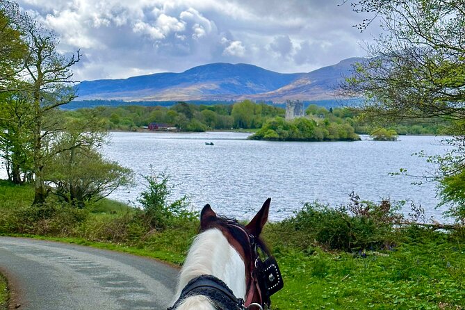 Killarney Jaunting Car Tour - What the guide adds to the ride