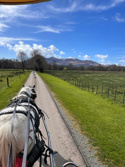 Killarney Jaunting Car Tour - Irish mist is part of the plan
