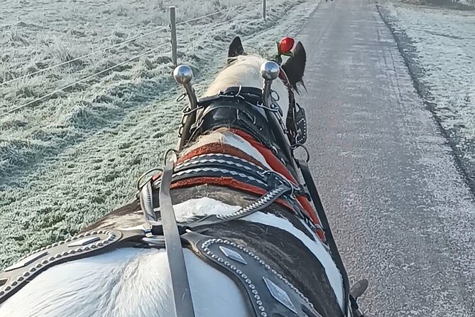Killarney Jaunting Car Tour - Starting at Deenagh Lodge