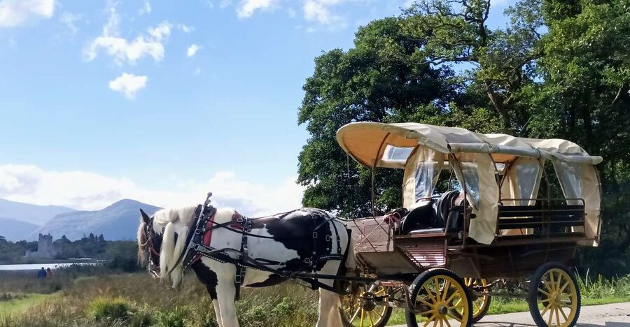 Killarney: Killarney National Park Private Tour - Why a jaunting car suits Killarney National Park