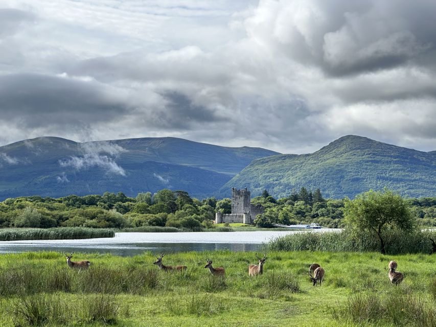 Killarney: Killarney National Park Private Tour - The first 50 minutes: Killarney National Park by horse