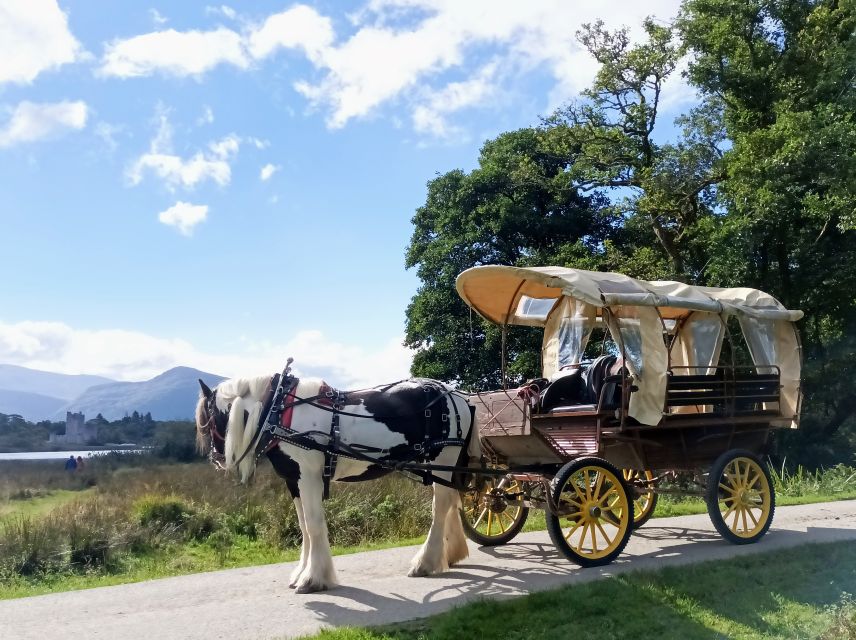 Killarney: Killarney National Park Private Tour - Carrauntoohil views and the final stretch