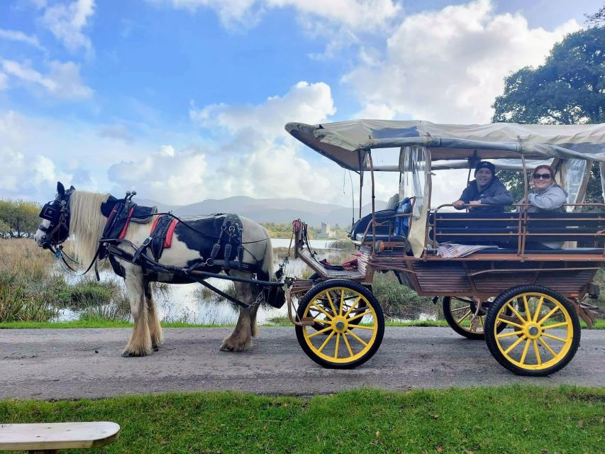 Killarney: Killarney National Park Private Tour - Is one hour enough?
