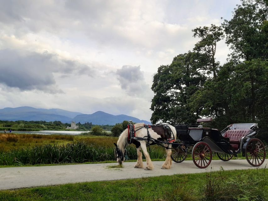 Killarney: Killarney National Park Private Tour - Finding Deenagh Lodge beside St. Mary’s Cathedral