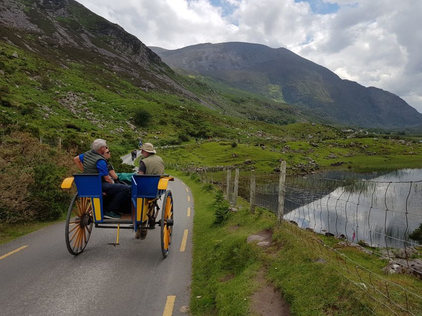 Killarney: Lakes of Killarney Boat Tour with Transfer - Lord Brandon’s Cottage and the mid-tour pause